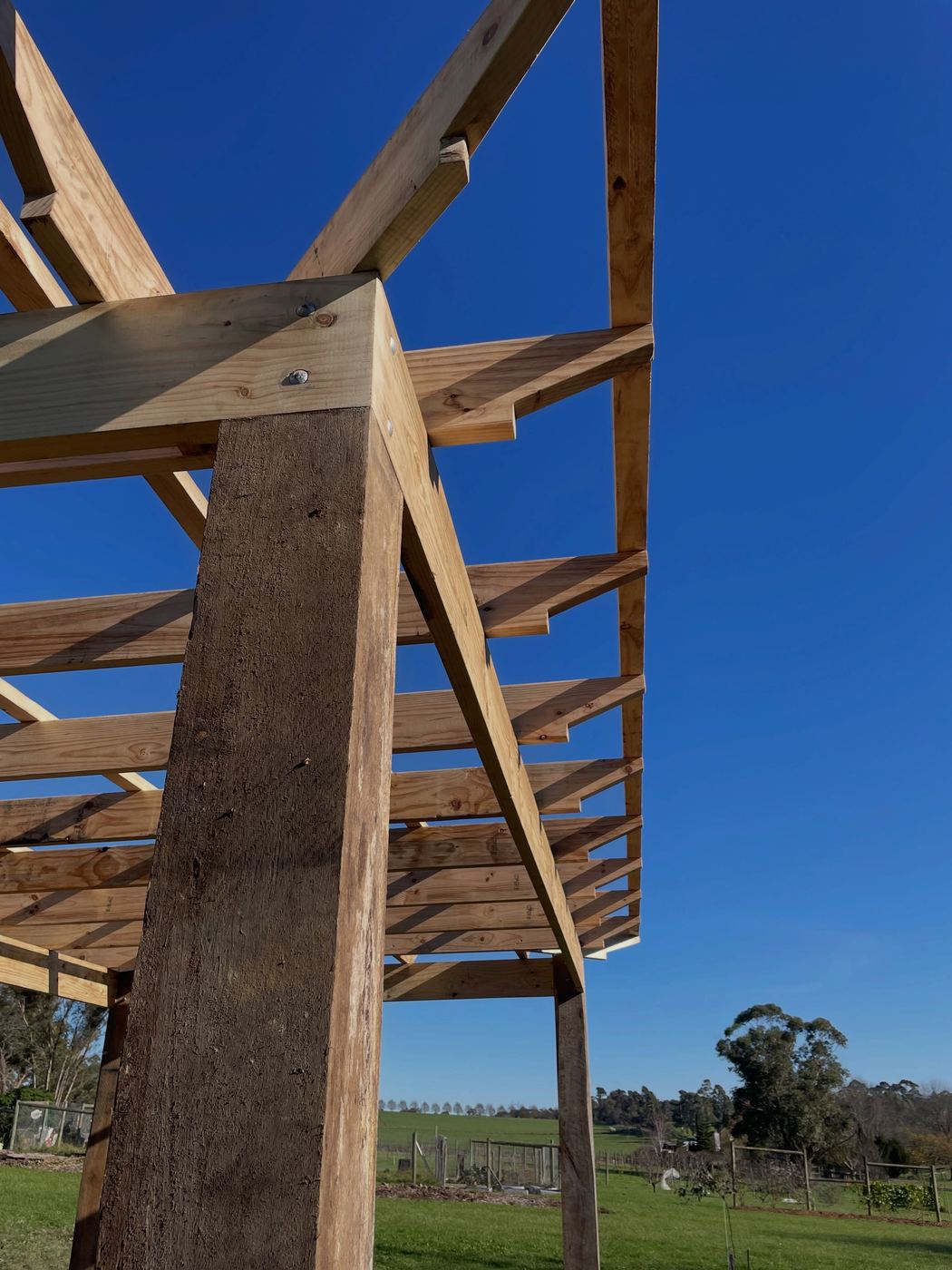 Ironbark post and rafter detail on the finished arbour